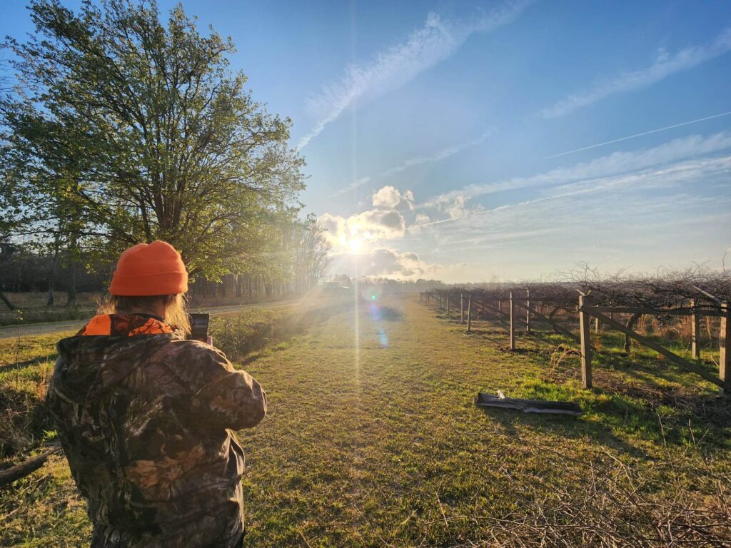 Phoenix Farms Vineyard photo 7