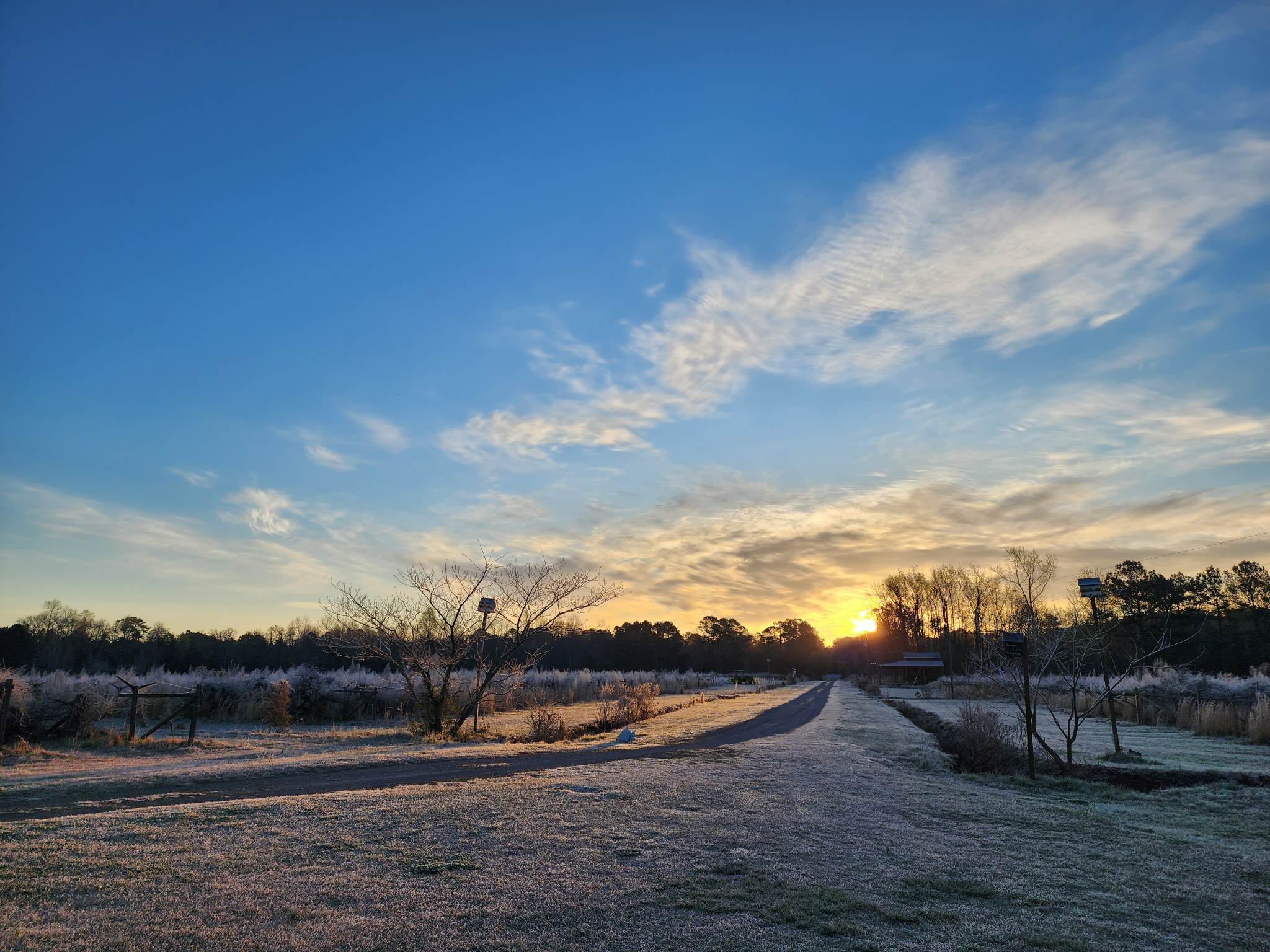 Phoenix Farms Vineyard photo 2